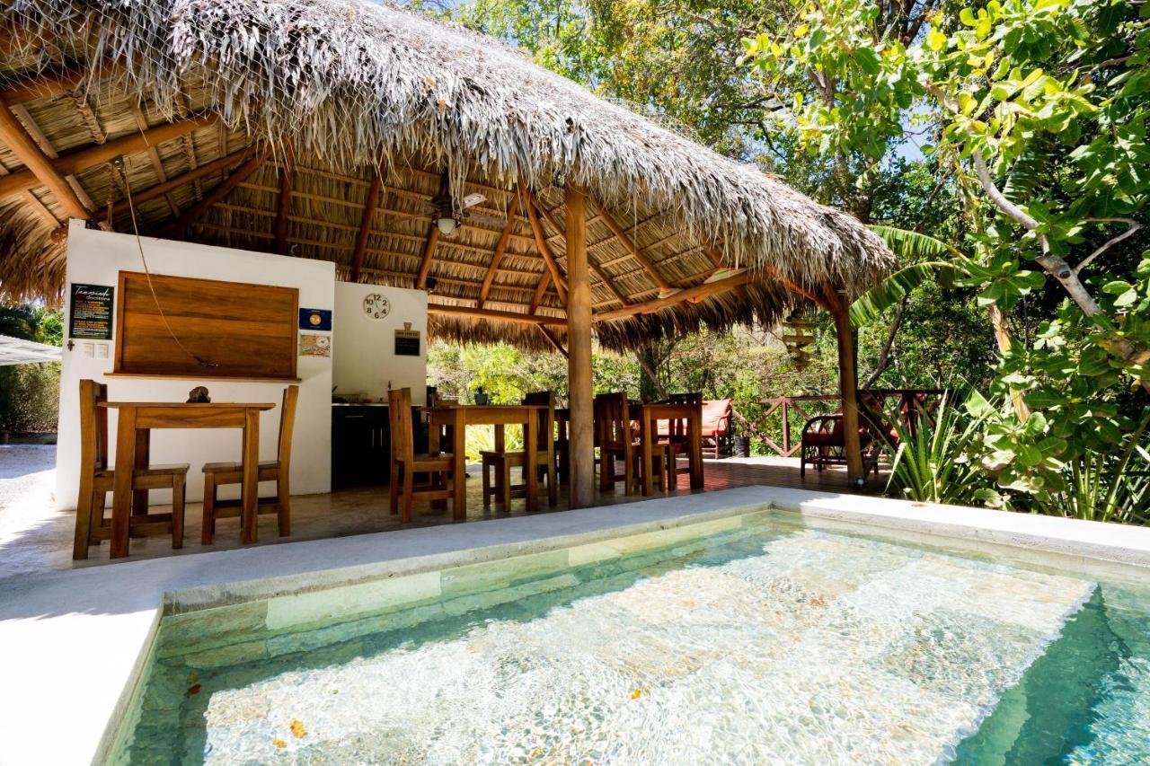 Antema Lodge Secteur Tamarindo, Piscine, Yoga, Gym, Jungle Et Paix Exterior foto